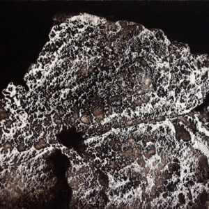 Fossil_2023,aquaforte, maniera nera, punta secca, 20 x 30 cm